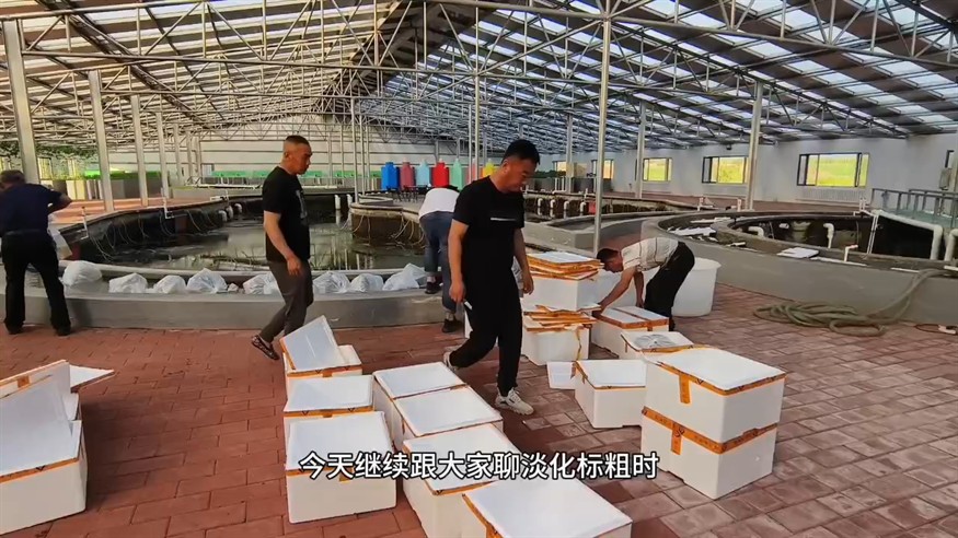 如何放苗