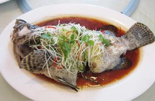 虎魚:虎魚怎么區(qū)別高身