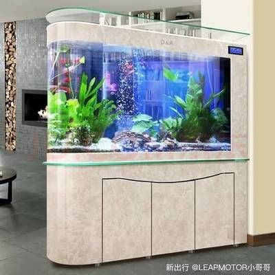 60的魚缸就養一條魚養什么魚好：60厘米的魚缸中養一條魚時，有幾個因素需要考慮，需要考慮