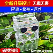 斗魚缸設計：斗魚缸生態(tài)系統(tǒng)的構建斗魚缸設計指南，斗魚缸設計指南