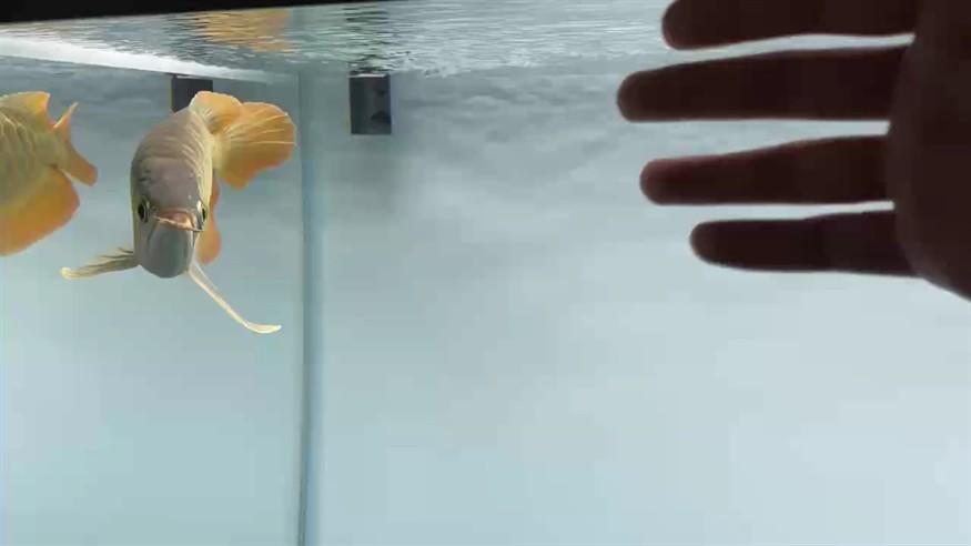 有來了那么點狀態