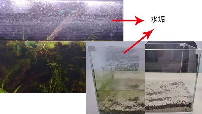 大魚缸咋清洗水垢：如何清洗大魚缸水垢？