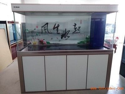 黑龍江大發(fā)國際貿(mào)易有限公司志成水族館（黑龍江大發(fā)國際集團）