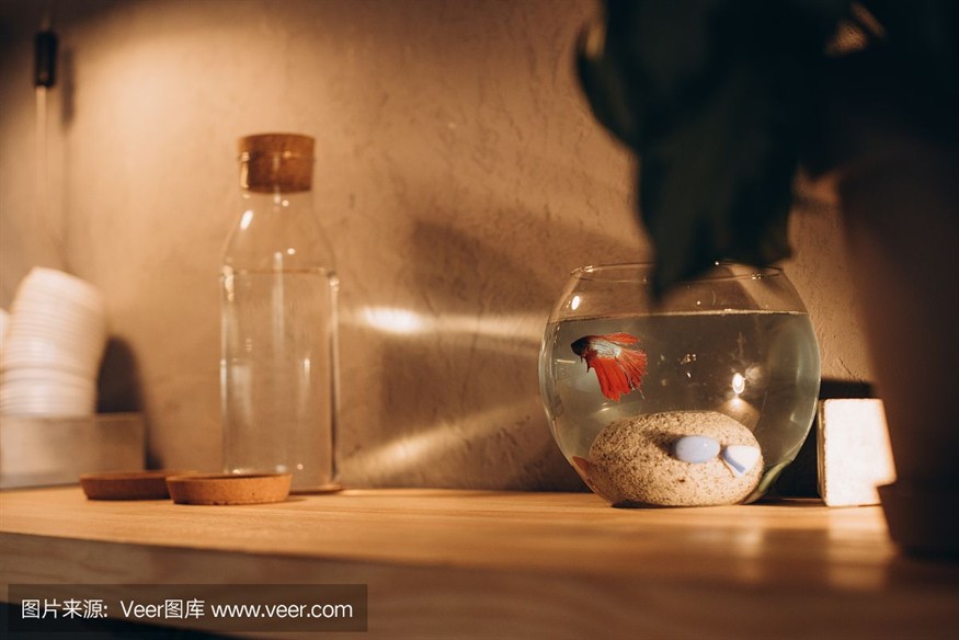 帶我去魚缸咖啡館：南京市秦淮區魚缸咖啡館是一家獨立的精品咖啡品牌