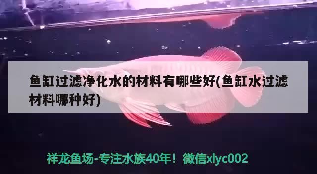 魚缸過濾凈化水的材料有哪些好(魚缸水過濾材料哪種好) 紅龍魚百科 魚缸過濾凈化水的材料有哪些好(魚缸水過濾材料哪種好) 魚缸過濾凈化水的材料有哪些好(魚缸水過濾材料哪種好) 紅龍魚百科