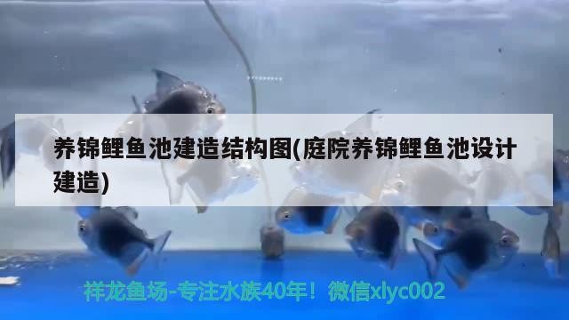 養(yǎng)錦鯉魚池建造結構圖(庭院養(yǎng)錦鯉魚池設計建造)