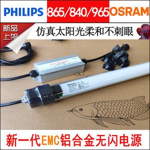 黑龍江圣中古玩城鱷夜叢林水族館