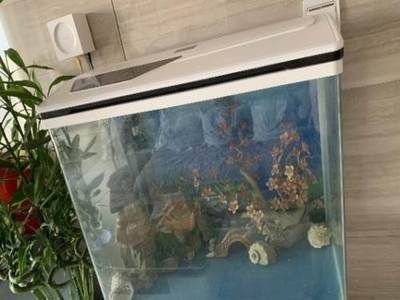 搬家魚缸不搬怎么處理呢：布和氣泡墊把魚缸包著魚缸不搬魚缸不受損壞 搬家魚缸不搬怎么處理呢：布和氣泡墊把魚缸包著魚缸不搬魚缸不受損壞 魚缸百科 第2張