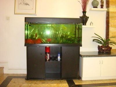 搬家魚缸不搬怎么處理呢：布和氣泡墊把魚缸包著魚缸不搬魚缸不受損壞 搬家魚缸不搬怎么處理呢：布和氣泡墊把魚缸包著魚缸不搬魚缸不受損壞 魚缸百科 第3張