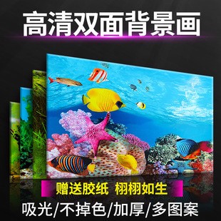 洛陽市洛龍區(qū)藍寶水族家飾銷售中心（洛陽市洛龍區(qū)藍寶水族家飾銷售中心電話）