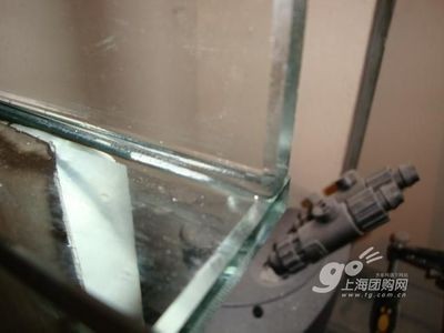 玻璃做魚缸用什么膠水：用于粘接玻璃魚缸的膠水