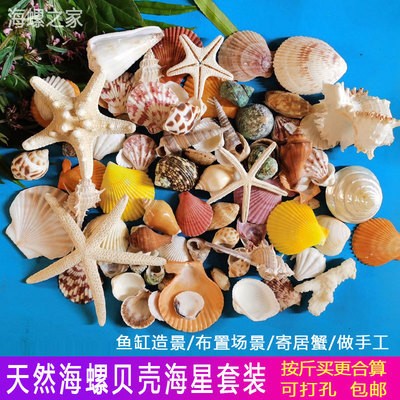 上海市普陀區培君水族館(上海市普陀區培君水族館地址) 全國水族館企業名錄 第1張 上海市普陀區培君水族館(上海市普陀區培君水族館地址) 上海市普陀區培君水族館(上海市普陀區培君水族館地址) 全國水族館企業名錄 第1張