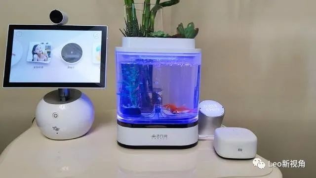 奎文區梨園御苑金魚店（奎文區梨園御苑金魚店電話）