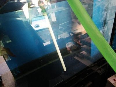 大蘇打魚缸怎么用的好：大蘇打可以降低氰化物的毒性，但不能過量使用大蘇打 大蘇打魚缸怎么用的好：大蘇打可以降低氰化物的毒性，但不能過量使用大蘇打 魚缸百科 第3張