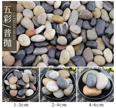 鵝卵石在魚缸怎么擺放