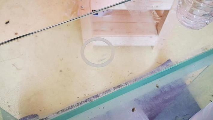 玻璃魚缸可以打孔嗎有毒嗎視頻：如何在玻璃魚缸上打孔