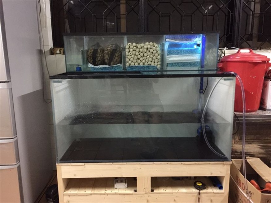背濾魚缸濾材擺放順序：背濾魚缸濾材擺放順序是按照一定的科學原則進行的 背濾魚缸濾材擺放順序：背濾魚缸濾材擺放順序是按照一定的科學原則進行的 魚缸百科 第1張