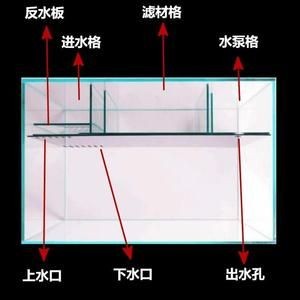 背濾魚缸濾材擺放順序：背濾魚缸濾材擺放順序是按照一定的科學原則進行的 背濾魚缸濾材擺放順序：背濾魚缸濾材擺放順序是按照一定的科學原則進行的 魚缸百科 第4張
