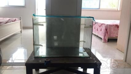 玻璃做魚缸：如何自制玻璃魚缸？