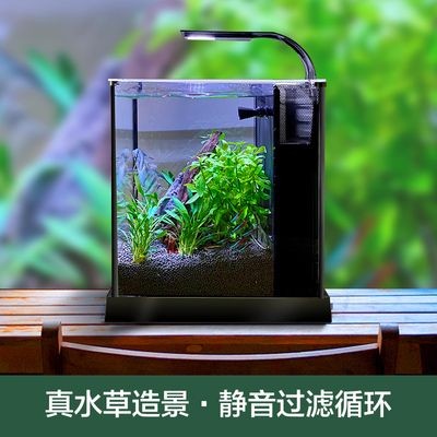 玻璃魚缸改造花盆視頻：如何將普通花盆變成美麗魚缸 玻璃魚缸改造花盆視頻：如何將普通花盆變成美麗魚缸 魚缸百科 第1張