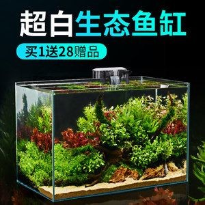 玻璃魚缸改造花盆視頻：如何將普通花盆變成美麗魚缸 玻璃魚缸改造花盆視頻：如何將普通花盆變成美麗魚缸 魚缸百科 第2張