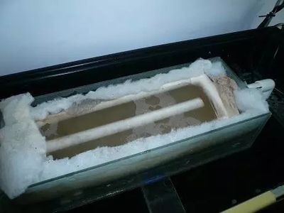 玻璃魚缸水垢如何快速去除：如何快速有效的去除玻璃魚缸水垢