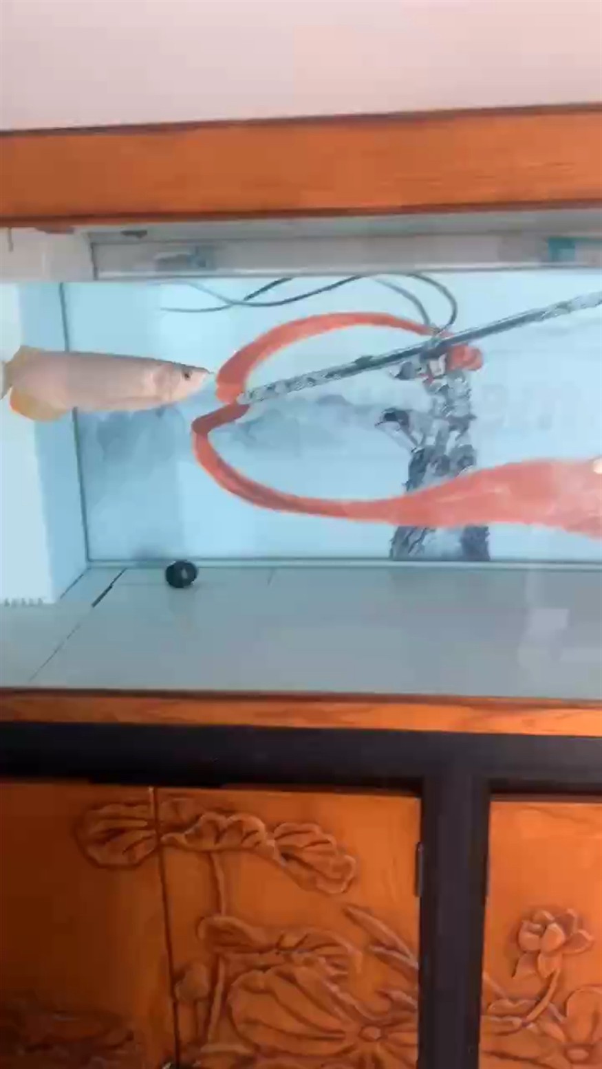 狀態好好