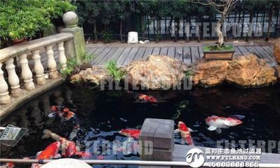 大自然下循環(huán)魚缸安裝視頻：大自然下循環(huán)魚缸安裝視頻教程&nbsp