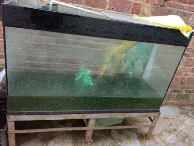 不用打理的魚缸怎么處理魚：不用打理的魚缸處理方法有以下幾種，家里不用的魚缸該如何處理