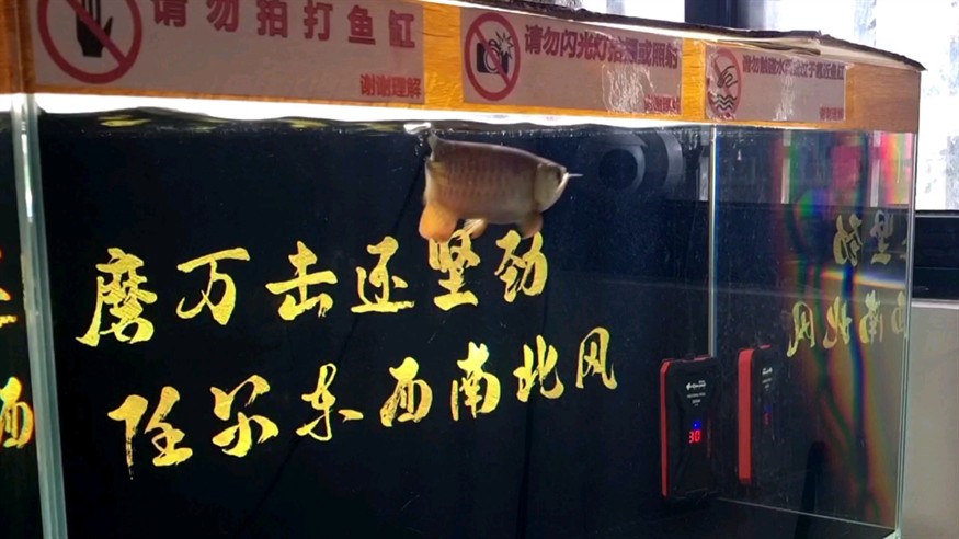 夠兇