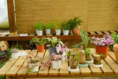北陽(yáng)臺(tái)放魚(yú)缸有什么講究嗎：魚(yú)缸擺放位置應(yīng)盡量貼近承重墻