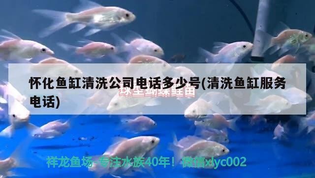 懷化魚(yú)缸清洗公司電話(huà)多少號(hào)(清洗魚(yú)缸服務(wù)電話(huà))