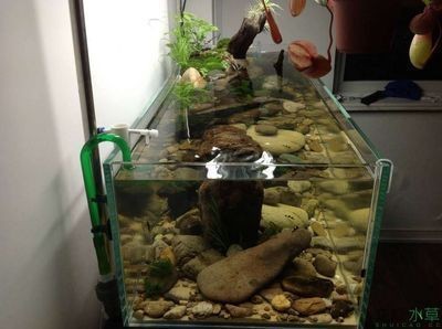 襄汾縣新城森藝閣工藝禮品水族館（襄汾縣新城森藝閣工藝禮品水族館電話） 襄汾縣新城森藝閣工藝禮品水族館（襄汾縣新城森藝閣工藝禮品水族館電話） 全國水族館企業名錄 第1張
