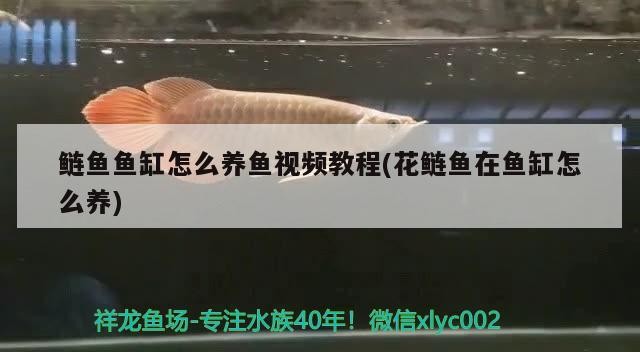 武侯區(qū)新水族玻璃制品經(jīng)營部（武侯區(qū)新水族玻璃制品經(jīng)營部地址）