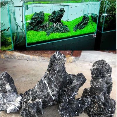 成品魚缸適合造什么景物呢：成品魚缸的造景風(fēng)格