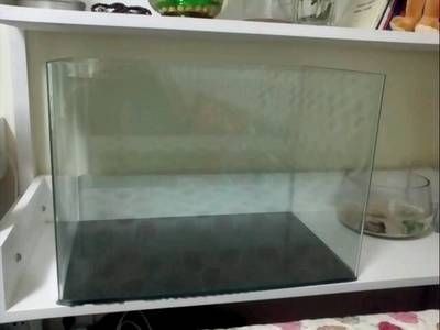 玻璃魚缸怎樣消毒：玻璃魚缸怎么消毒 玻璃魚缸怎樣消毒：玻璃魚缸怎么消毒 魚缸百科 第3張