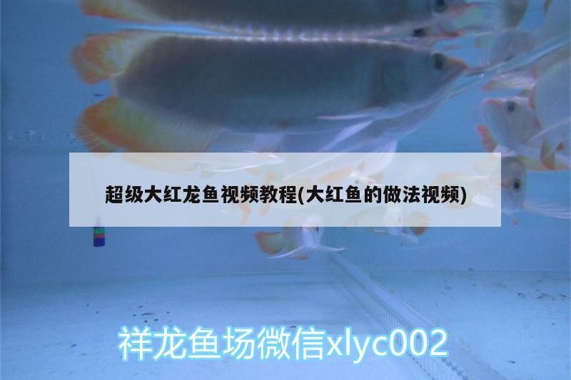 奎文區(qū)大虞名海水族館（奎文區(qū)大虞名海水族館電話）