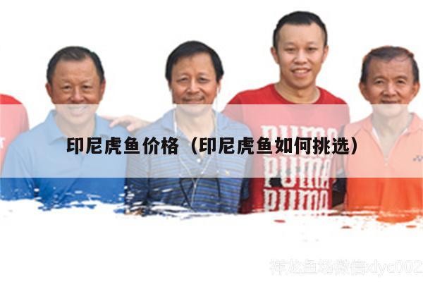 印尼虎魚(yú)價(jià)格（印尼虎魚(yú)如何挑選）