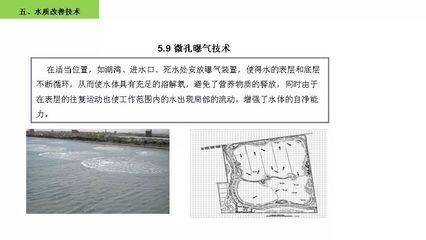 沉木引起魚缸水發(fā)黃怎么處理多久才會改善水質：沉木引起的魚缸水發(fā)黃對魚缸水發(fā)黃的原因有哪些