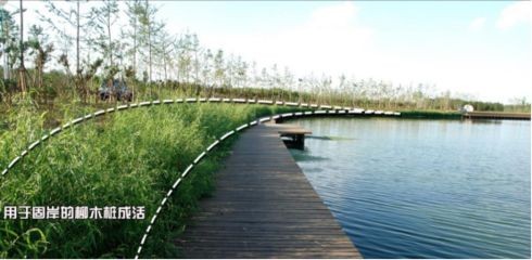 沉木引起魚缸水發(fā)黃怎么處理多久才會改善水質：沉木引起的魚缸水發(fā)黃對魚缸水發(fā)黃的原因有哪些