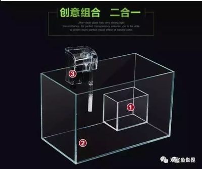 玻璃魚缸重量：如何計(jì)算玻璃魚缸的重量 玻璃魚缸重量：如何計(jì)算玻璃魚缸的重量 魚缸百科 第3張
