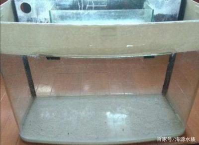 玻璃魚缸重量：如何計(jì)算玻璃魚缸的重量 玻璃魚缸重量：如何計(jì)算玻璃魚缸的重量 魚缸百科 第4張