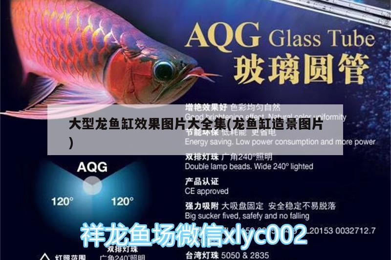 龍門縣龍城文匯水族海鮮店（龍門縣龍城文匯水族海鮮店電話） 龍門縣龍城文匯水族海鮮店（龍門縣龍城文匯水族海鮮店電話） 全國水族館企業(yè)名錄 第1張