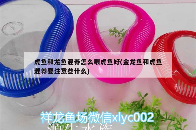 龍門縣龍城文匯水族海鮮店（龍門縣龍城文匯水族海鮮店電話） 龍門縣龍城文匯水族海鮮店（龍門縣龍城文匯水族海鮮店電話） 全國水族館企業(yè)名錄 第3張