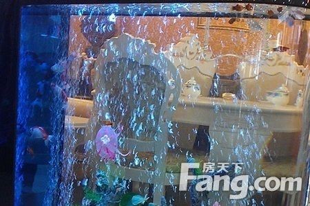 玻璃膠粘的魚缸:如何選擇合適的玻璃膠粘魚缸 魚缸百科 第2張 玻璃膠粘的魚缸:如何選擇合適的玻璃膠粘魚缸 玻璃膠粘的魚缸:如何選擇合適的玻璃膠粘魚缸 魚缸百科 第2張