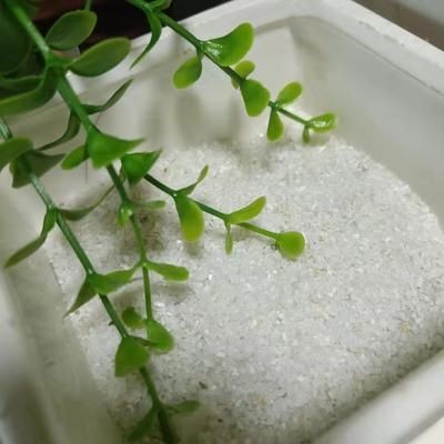 大魚缸底部的水抽不出來怎么辦呢：大魚缸底部水抽不出來怎么辦？