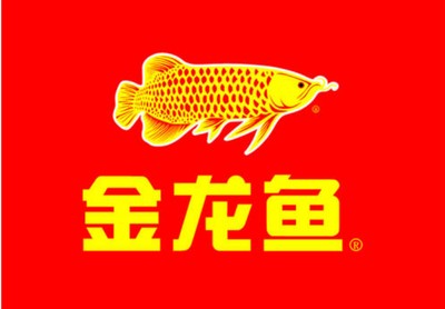 魚缸用增氧泵價格是多少:魚缸增氧機-xtrac增氧機-xtrac增氧機 最好的紅龍魚是什么品種的魚(最好的紅龍魚是什么品種的魚圖片) 紅龍魚百科 最好的紅龍魚是什么品種的魚(最好的紅龍魚是什么品種的魚圖片) 最好的紅龍魚是什么品種的魚(最好的紅龍魚是什么品種的魚圖片) 紅龍魚百科