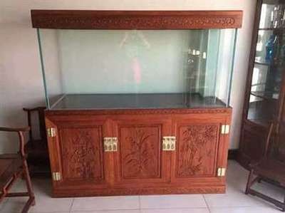 神仙魚魚缸換新濾材有影響嗎，埃及神仙魚養殖技術