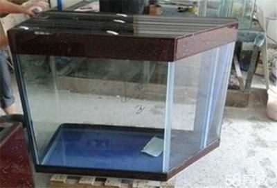 大興清洗魚缸的地方：北京哪里可以提供魚缸清洗的服務(wù)