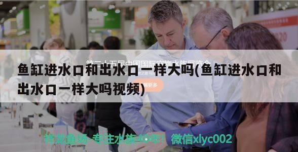 綿陽城區至尊水族館（綿陽城區至尊水族館電話）